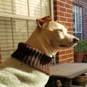 Meet your Posher, Jason